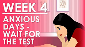 The Pregnancy week 4 - Waiting for the test