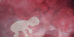 अम्निओटिक तरल (Amniotic Fluid) क्या होता है?