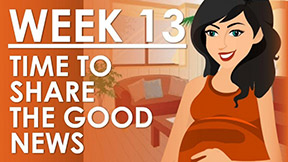 The Pregnancy - Week 13