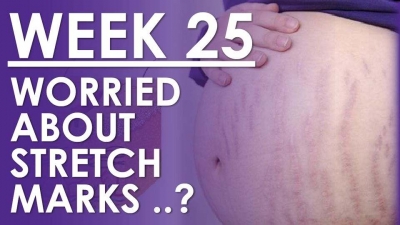 The Pregnancy - Week 25