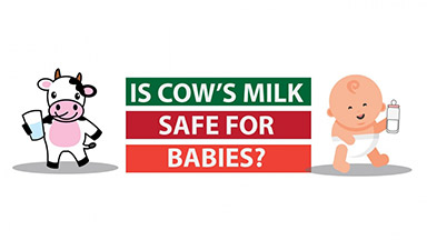 Is cow&#039;s milk safe for babies?