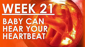 The Pregnancy - Week 21