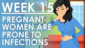 The Pregnancy - Week 15