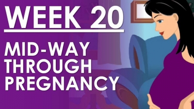 The Pregnancy - Week 20