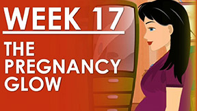 The Pregnancy - Week 17