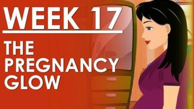 The Pregnancy - Week 17