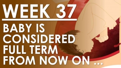 The Pregnancy - Week 37