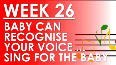 The Pregnancy - Week 26